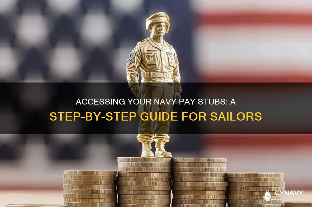how to get your pay stubs from navy