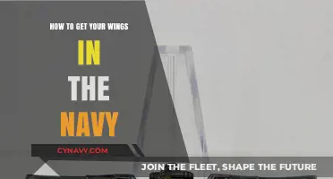 Earning Your Wings: A Guide to Navy Aviation Training and Requirements