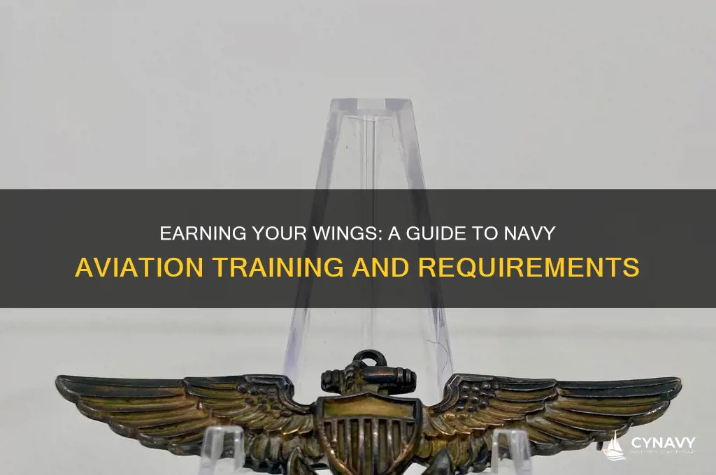 how to get your wings in the navy