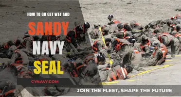 Mastering Wet & Sandy Navy SEAL Training: Essential Tips for Success