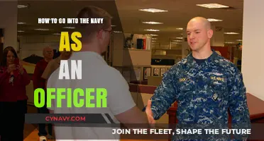 Charting Your Course: Becoming a Navy Officer