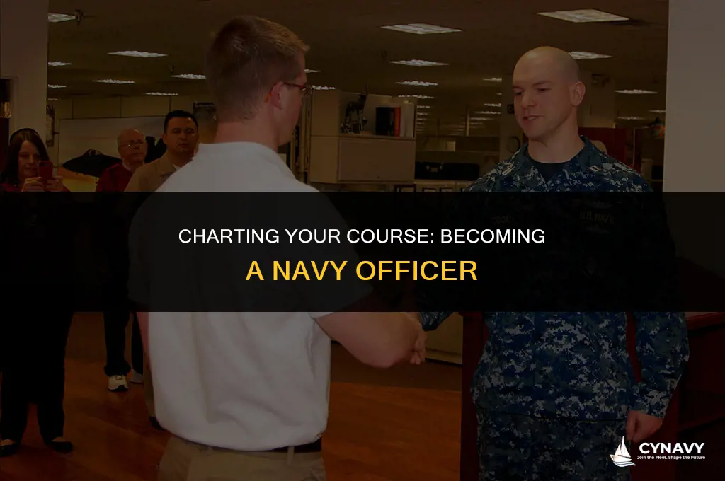 how to go into the navy as an officer