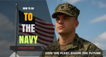 Charting Your Course: A Guide to Joining the Navy
