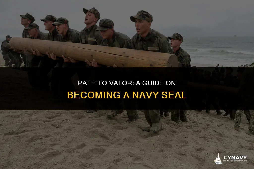 how to join navy seal