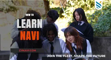 Mastering Navi: A Beginner's Guide to Fluent Navigation
