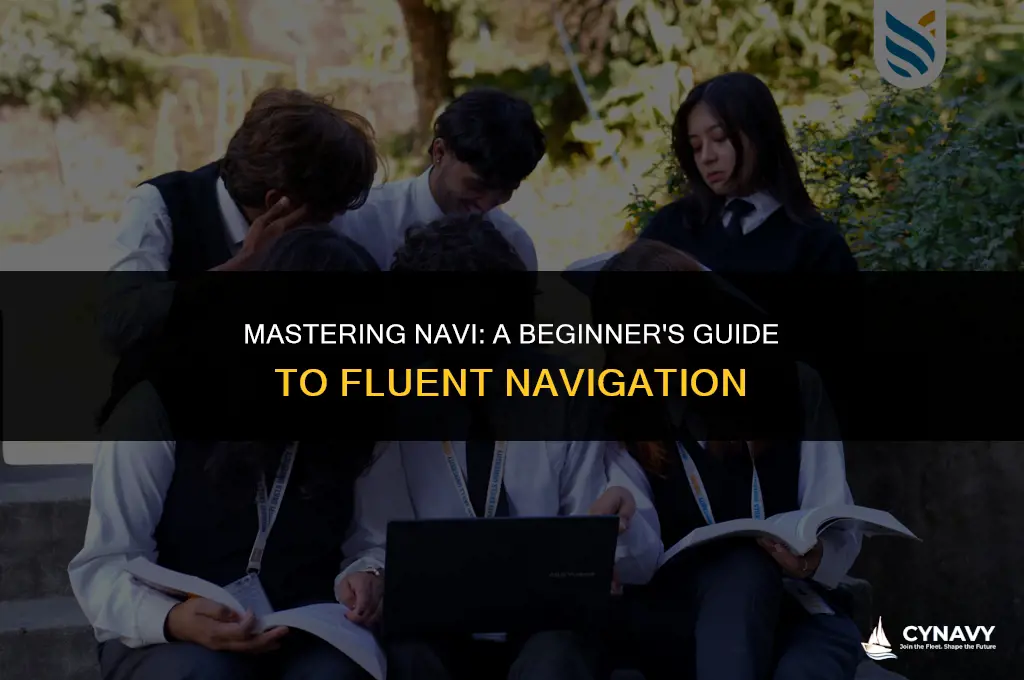 how to learn navi