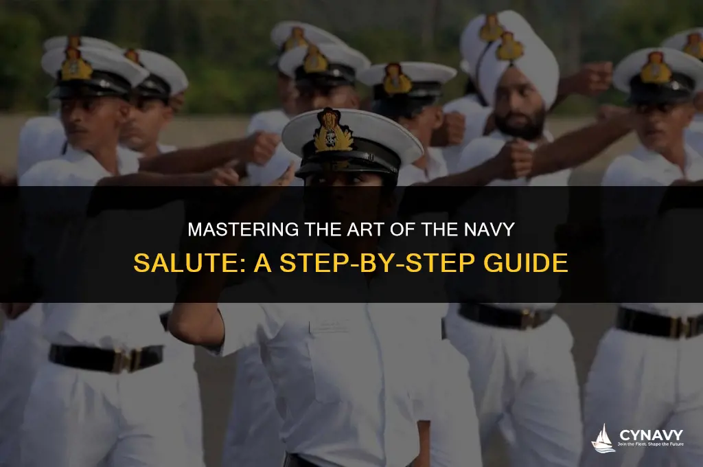 how to salute in the navy