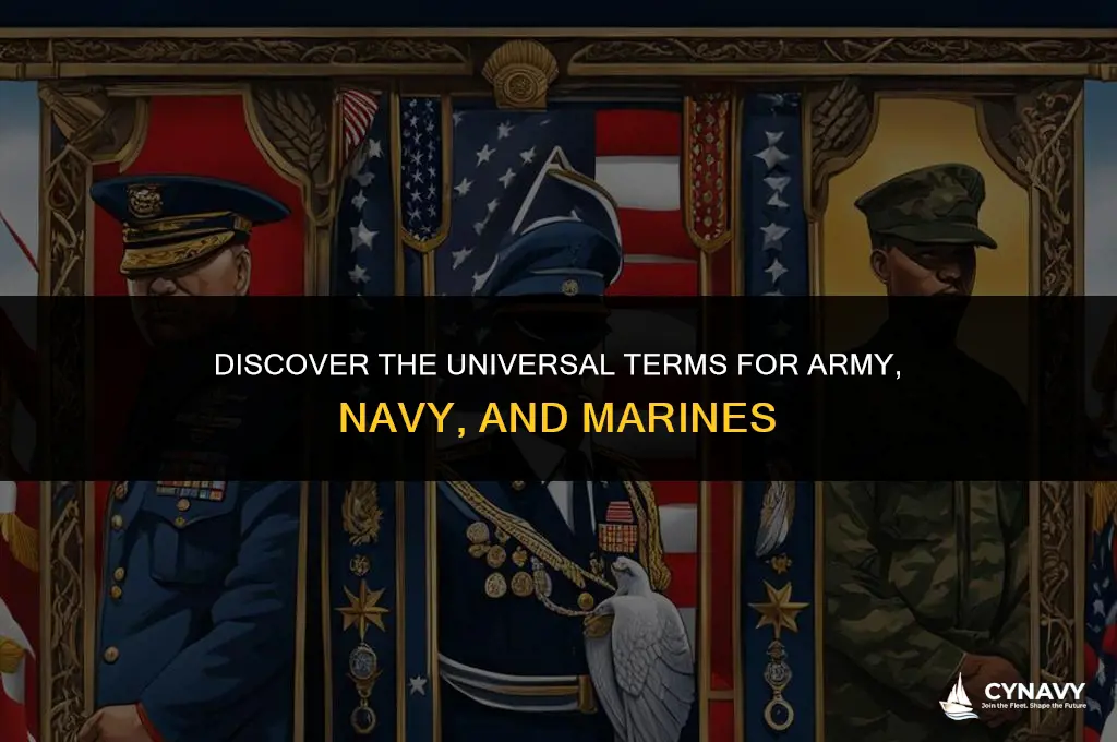 how to say army navy and marines in general
