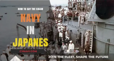 Exploring the Depths of Language: How to Say 'Navy' in Japanese