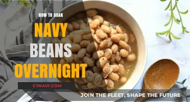 Mastering the Art of Soaking Navy Beans Overnight: A Beginner's Guide