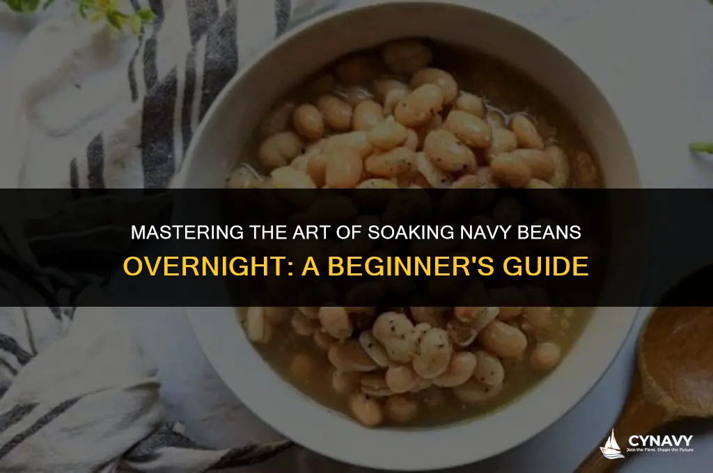 how to soak navy beans overnight