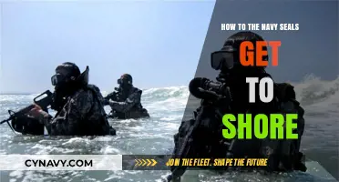 Navy SEALs' Stealthy Shore Operations: Tactics and Techniques Revealed