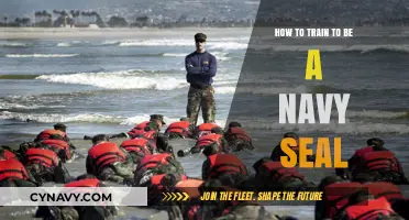 Forge Your Path to SEAL: A Comprehensive Training Guide