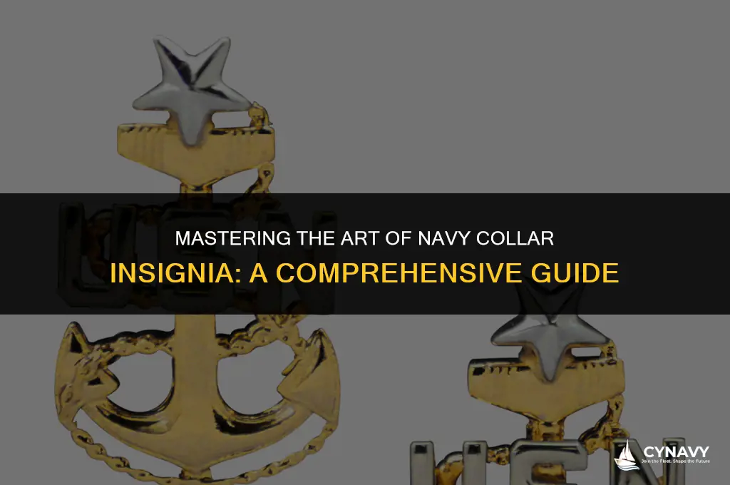 how to wear collar insignia for the navy