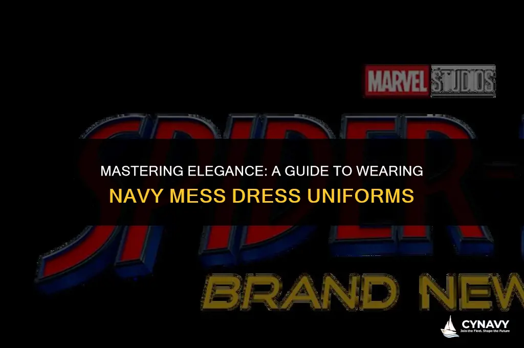 how to wear navy mess dress uniform