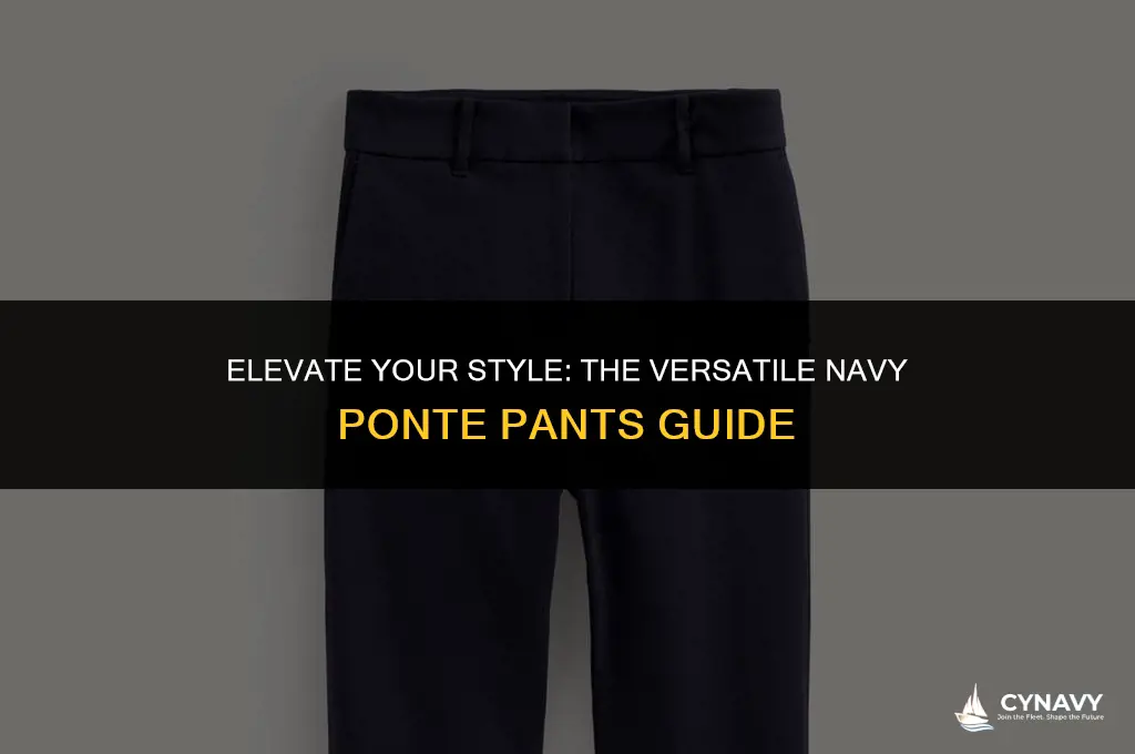 how to wear navy ponte pants