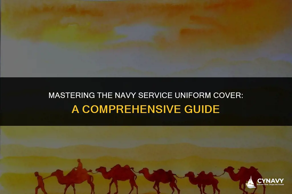 how to wear navy service uniform cover