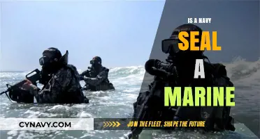Understanding Military Roles: Navy SEALs vs. Marines