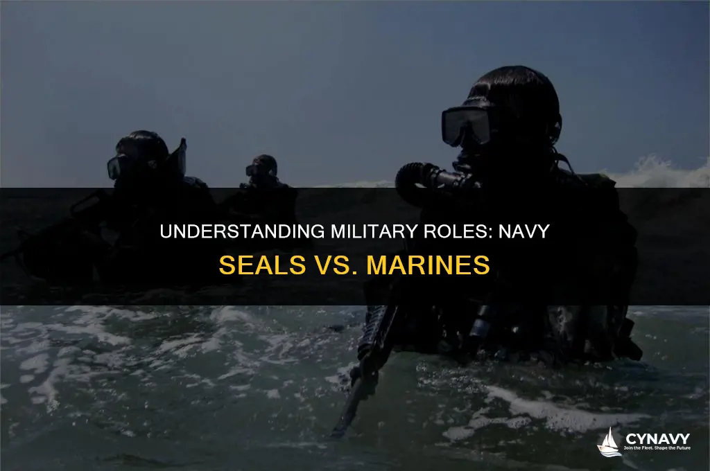 is a navy seal a marine