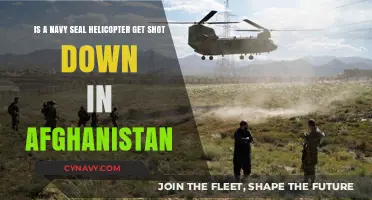 Navy SEAL Helicopter Downed in Afghanistan: Unraveling the Tragic Incident