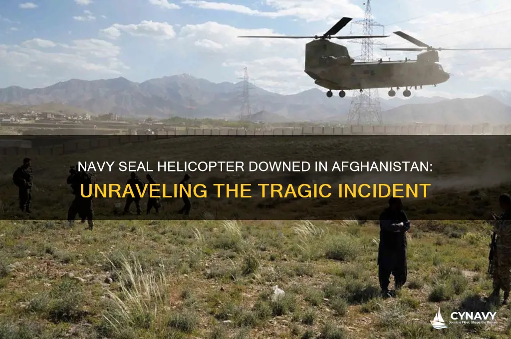 is a navy seal helicopter get shot down in afghanistan