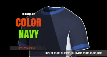Exploring the Depths of Academy Navy: A Colorful Journey