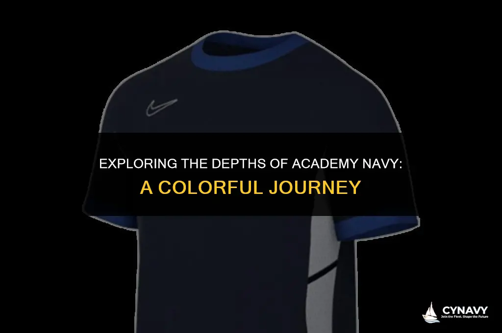is academy color navy