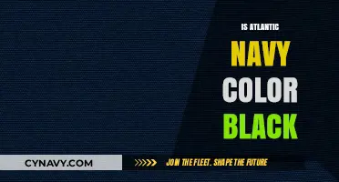 Exploring the Myths: Is Atlantic Navy Really Just Black?