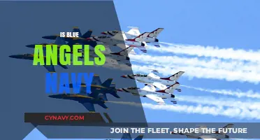 Exploring the Blue Angels: A Deep Dive into the Navy's Elite Flight Team