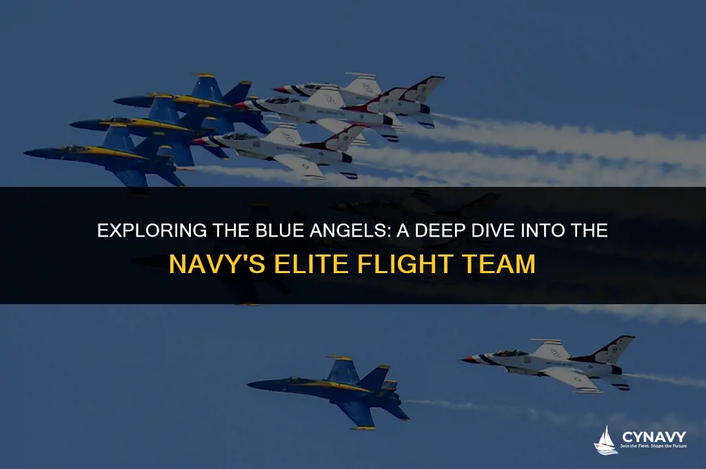 is blue angels navy