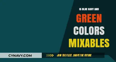 Exploring Color Harmony: Can Blue, Navy, and Green Be Mixed?