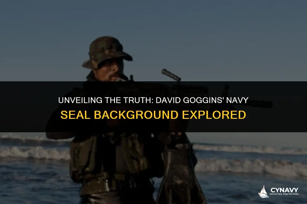 is david goggins a navy seal