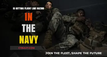 Flight Line Hazing in the Navy: Reality, Risks, and Reforms