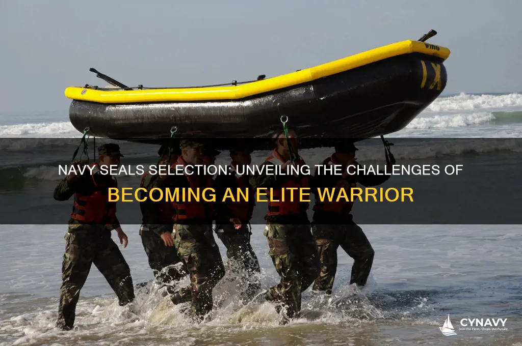 is it hard to get into navy seals