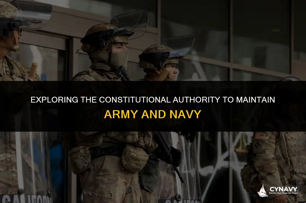 is maintaining army and navy an expressed power