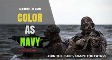 Exploring the Depths of Color: Marine vs. Navy