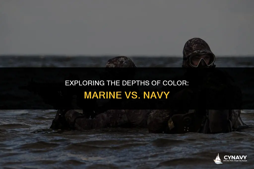 is marine the same color as navy