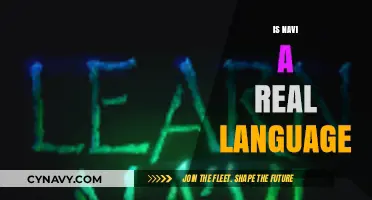 Exploring the Linguistic Landscape: Is Navi a Real Language?