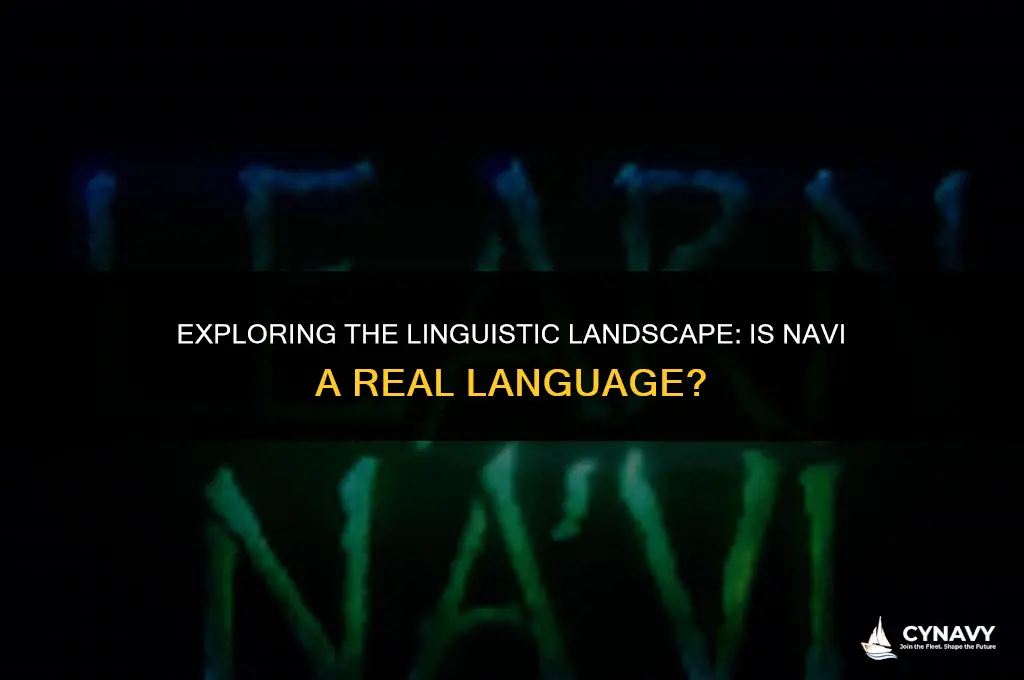 is navi a real language
