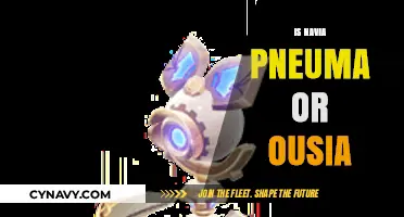 Exploring the Essence: Is Navia Pneuma or Ousia?