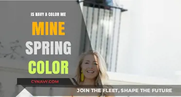 Exploring Navy: A Colorful Debate for Spring Fashion