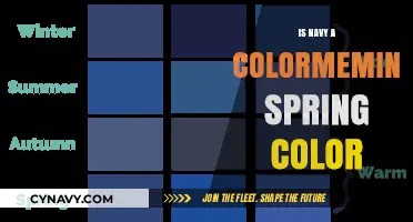 Exploring Navy: A Deep Dive into Spring's Color Palette