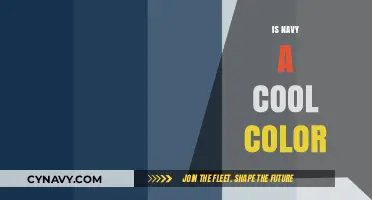 Exploring the Depths of Navy: Is It a Cool Color?