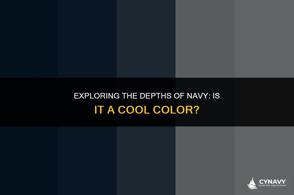 is navy a cool color