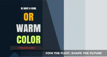 Exploring the Versatility of Navy: Cool or Warm?