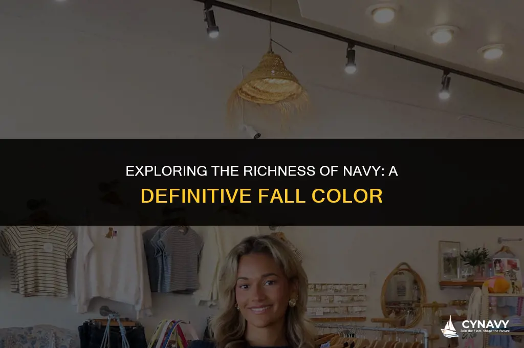 is navy a fall color