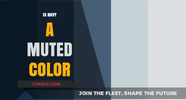 Exploring the Depths of Navy: Is It Truly a Muted Color?
