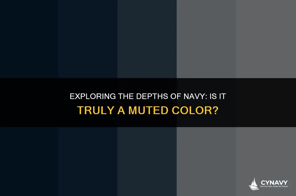 is navy a muted color