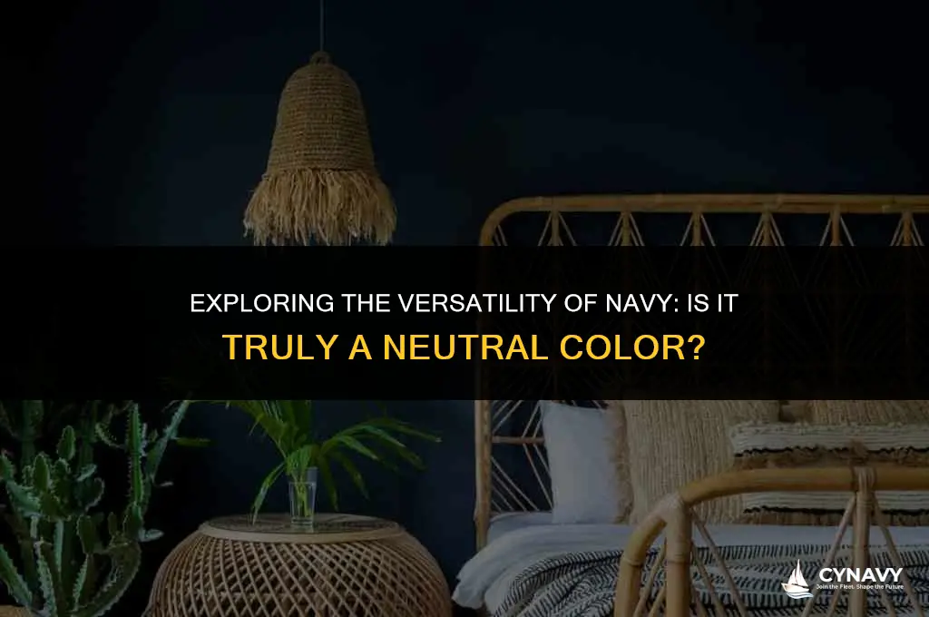 is navy a neutral color