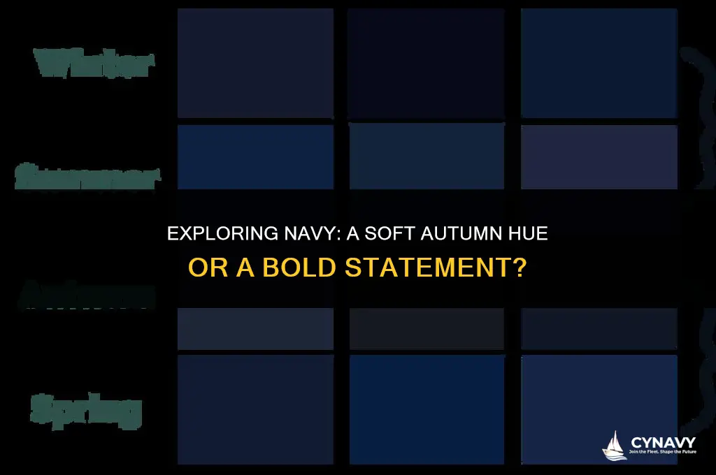 is navy a soft autumn color